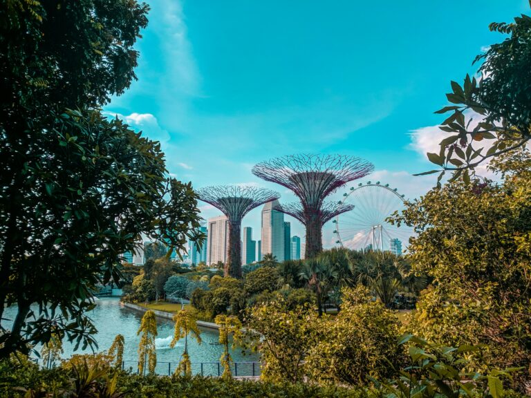 View of Gardens by the Bay with iconic Supertree structures and lush greenery in downtown Singapore.