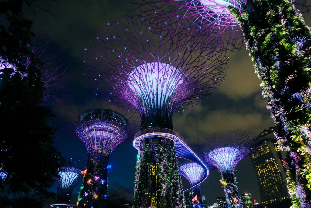 Nighttime light show at Supertree Grove in Gardens by the Bay, featuring illuminated Supertrees and vibrant colors.