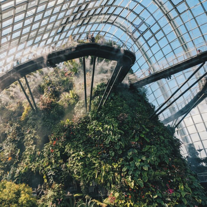 Cloud Forest at Gardens by the Bay, an indoor garden with a lush mountain and diverse plant life under a glass dome.