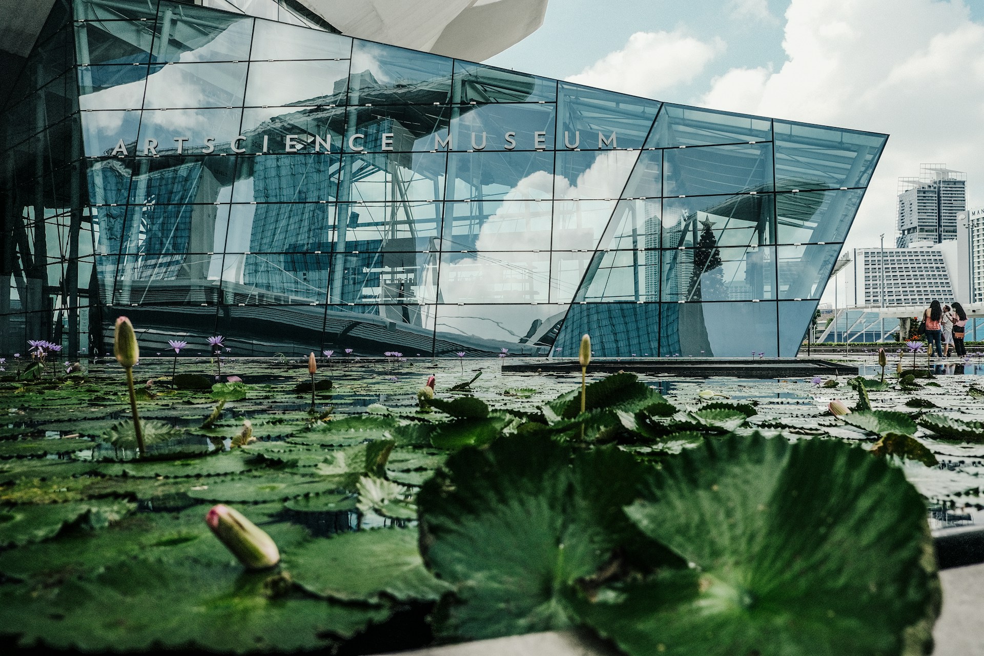 Art Science Museum Singapore