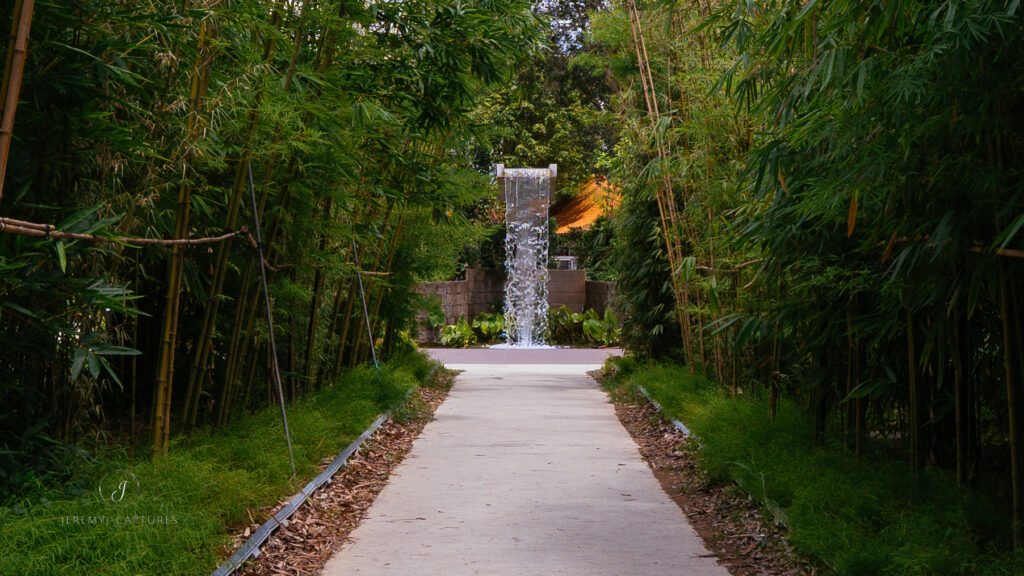 Bamboo Grove and Waterfall in Chinese garden