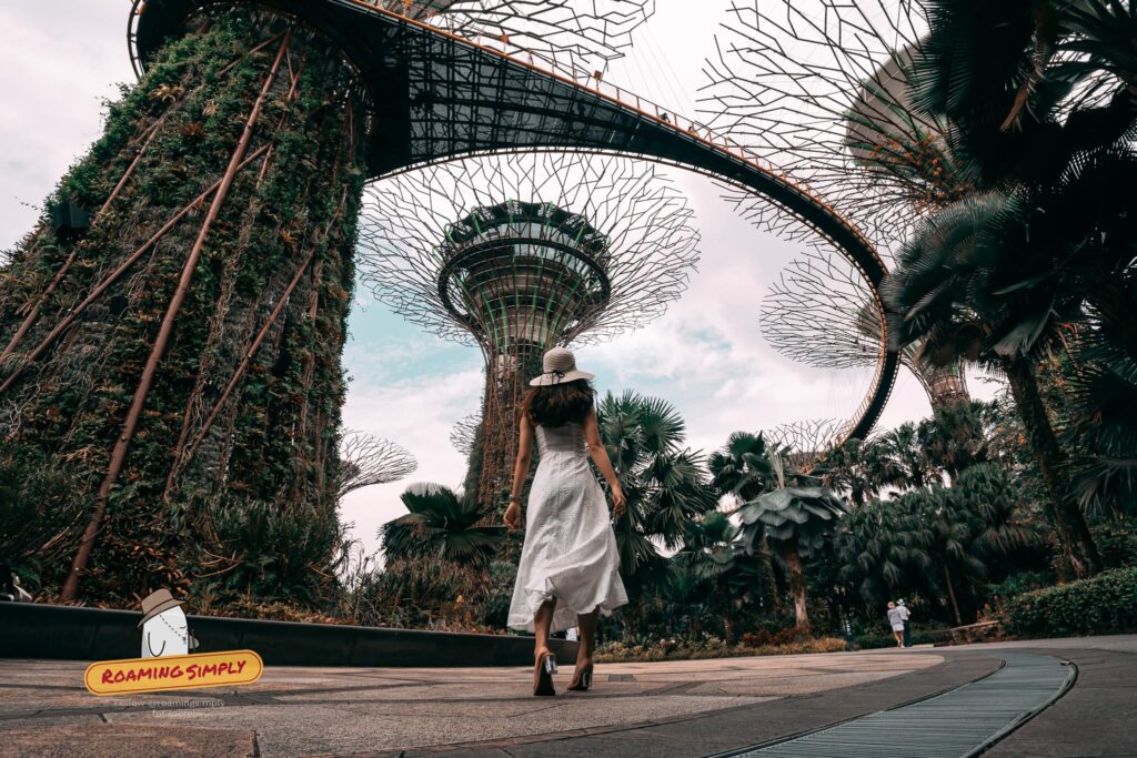 Low-angle view of a visitor walking beneath the massive vertical gardens of the Supertree Grove and the OCBC Skyway at Gardens by the Bay in Singapore.