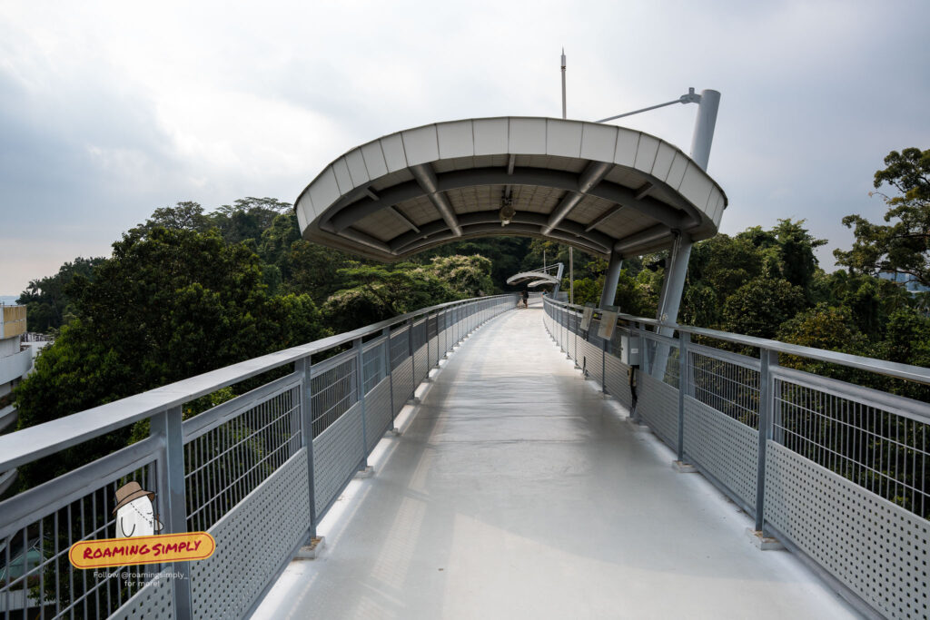 Elevated skywalk pedestrian bridge at Fort Siloso Sentosa Singapore surrounded by tropical greenery