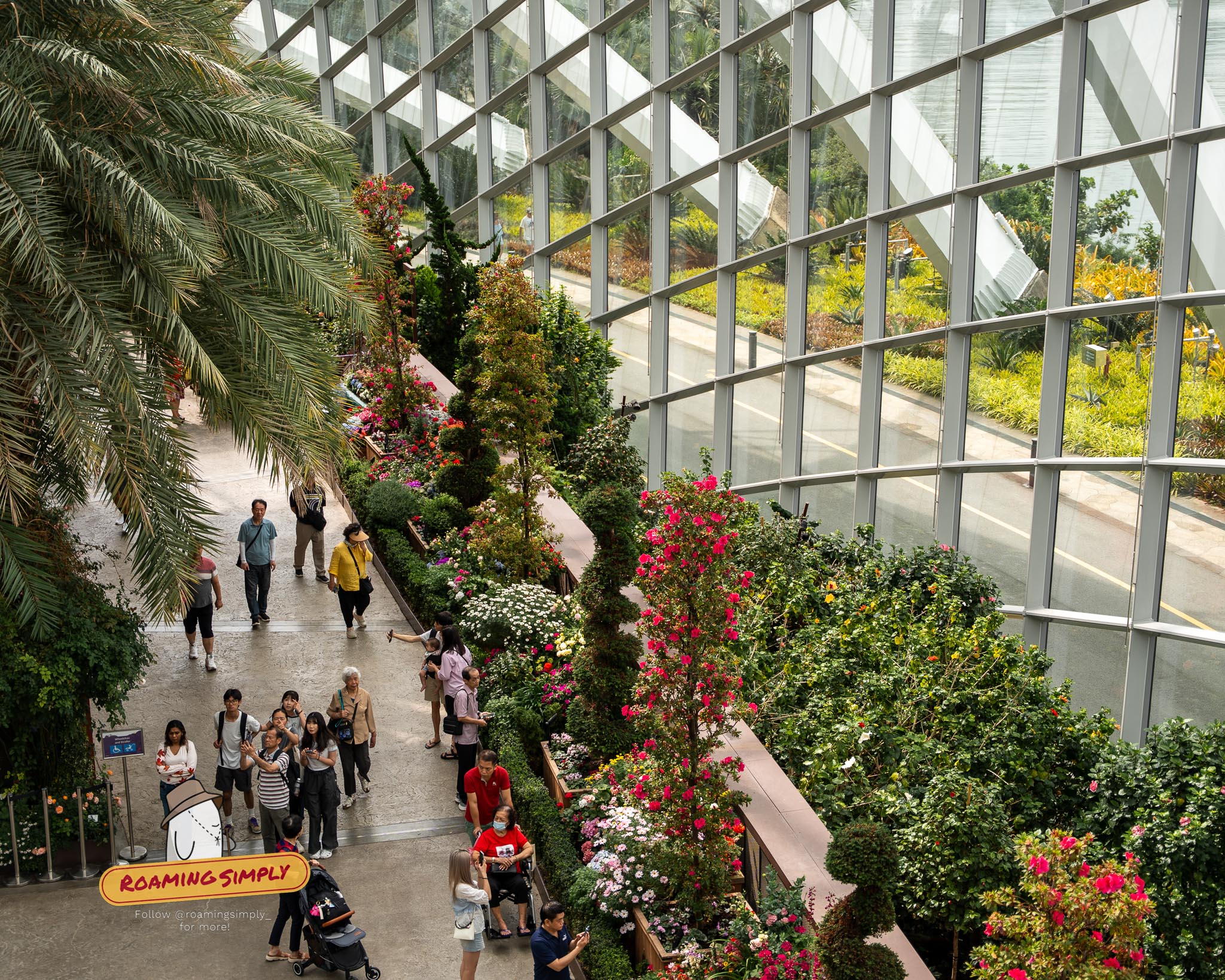 High-angle view of visitors walking along pathways lined with vibrant seasonal floral displays inside the massive glass architecture of the Flower Dome at Gardens by the Bay, Singapore.