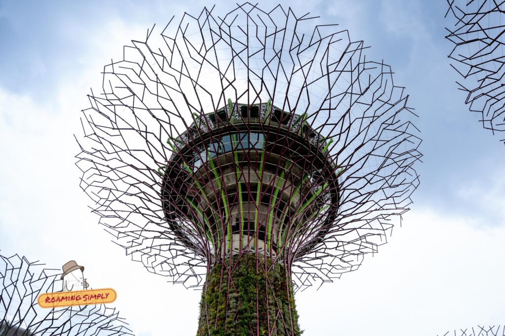 Low-angle view looking up at the Supertree Observatory at Gardens by the Bay in Singapore, featuring a circular glass observation deck nestled within its wire canopy.