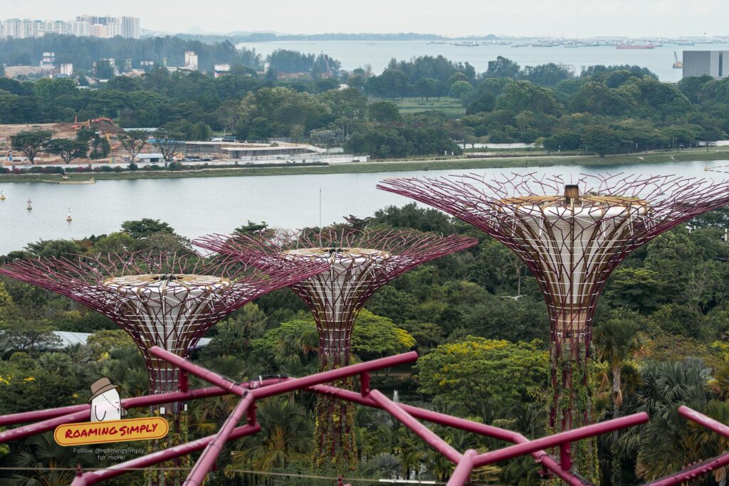 High-angle view of the iconic Supertrees at Gardens by the Bay in Singapore, showcasing their intricate wireframe canopy structures overlooking the surrounding greenery and reservoir.