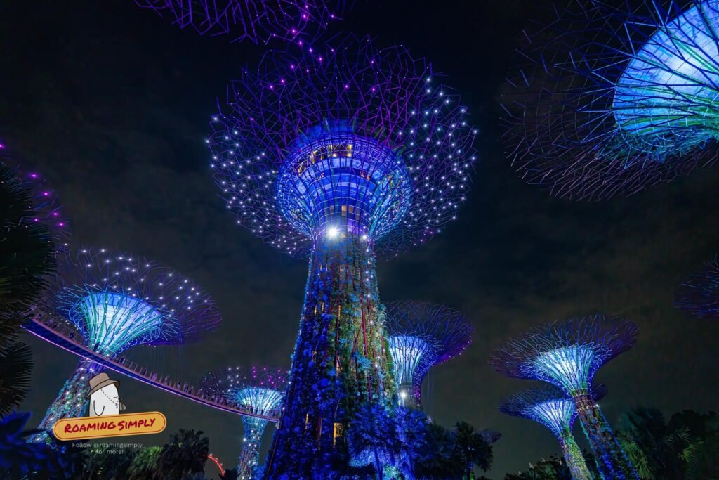 Supertrees lit in blue and purple at night, seen from below, with the aerial walkway between them