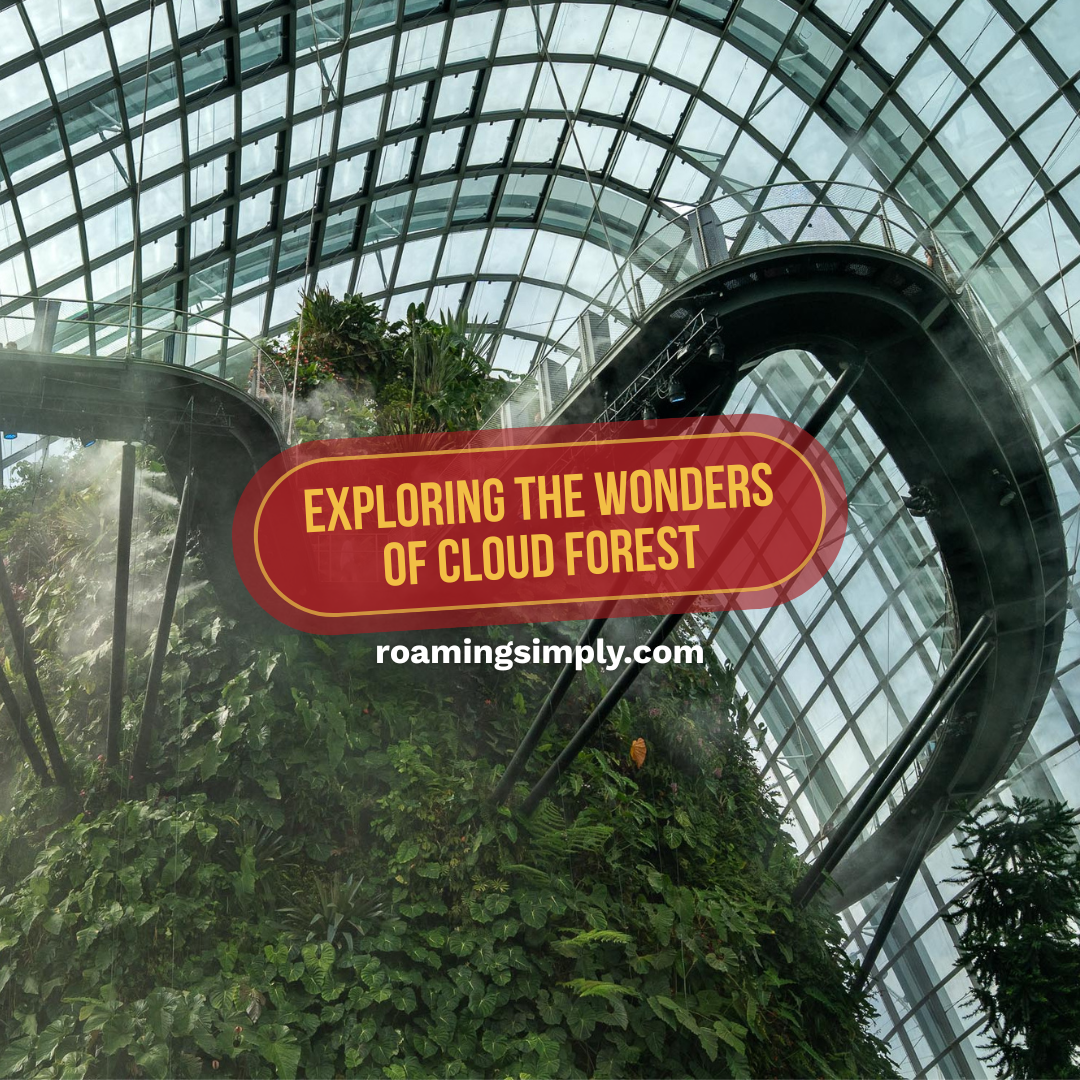 Exploring the Wonders of Gardens by the Bay Cloud Forest Singapore