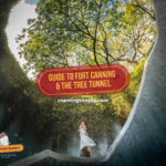 RoamingSimply guide thumbnail for Fort Canning Park, showing the Tree Tunnel spiral staircase and tree canopy