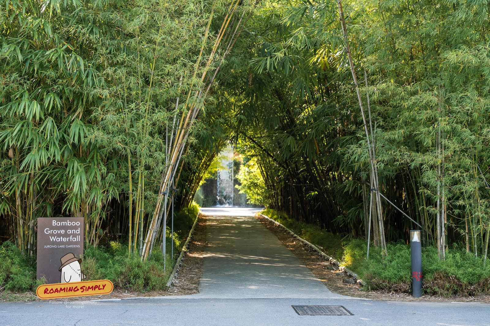 Pathway lined with towering bamboo at the Bamboo Grove and Waterfall, Jurong Lake Gardens Singapore