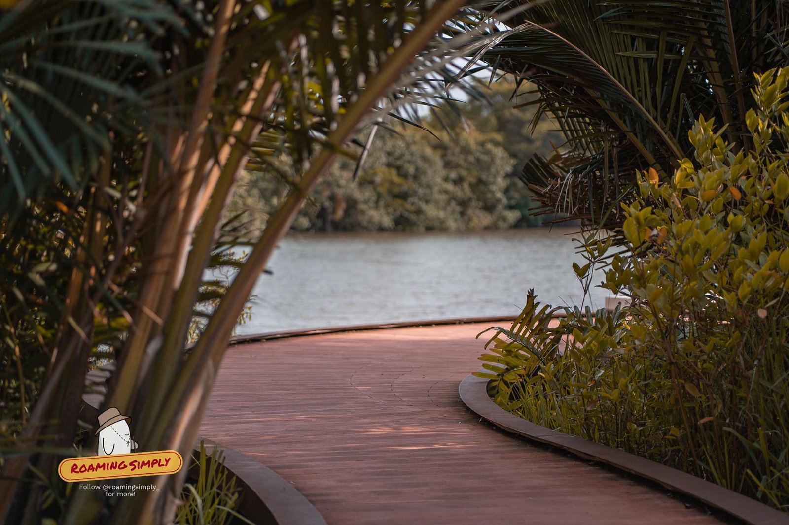Wooden boardwalk winding along the water's edge at Lakeside Garden, Jurong Lake Gardens Singapore