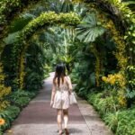 National Orchid Garden Singapore: What to See and Why It’s Worth It